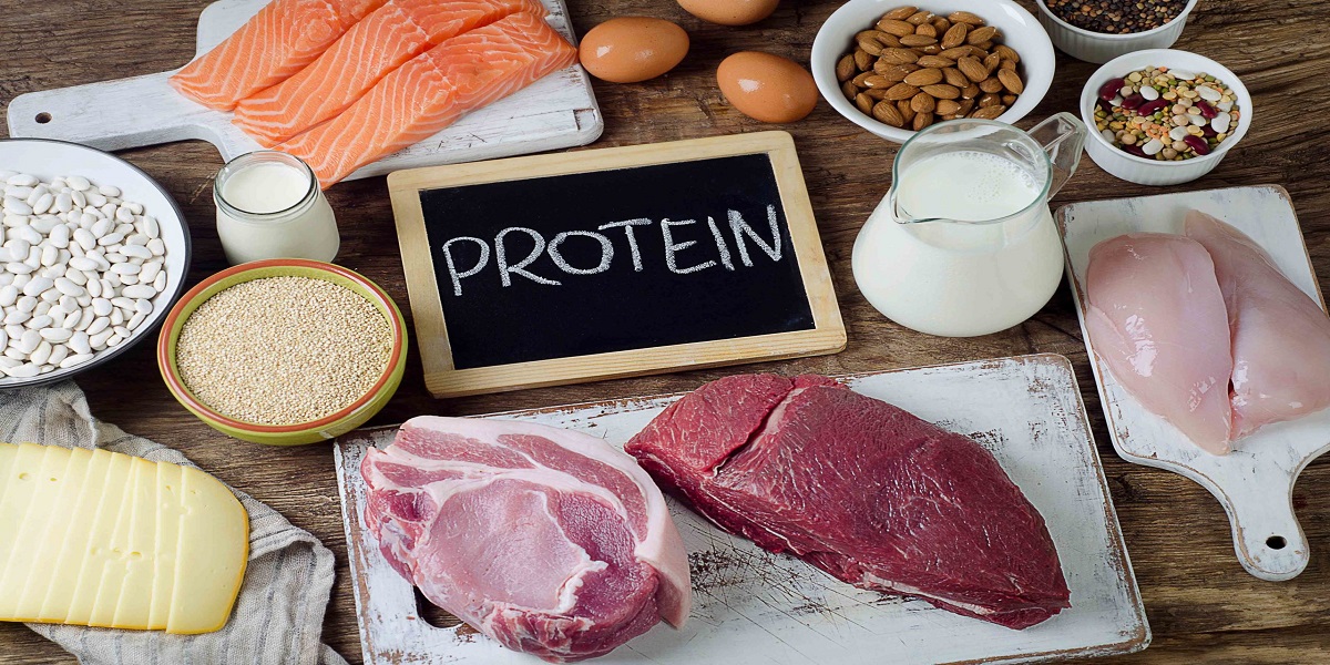 6 High protein foods for weight loss
