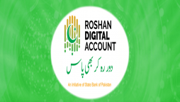 Roshan Digital Account facilitates Pakistani diaspora in sending money back home: envoy