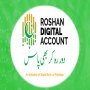 Roshan Digital Account facilitates Pakistani diaspora in sending money back home: envoy