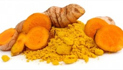 Mustard seed, wall rocket and turmeric extracts are helpful against SARS-CoV-2