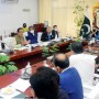 Cabinet committee approves Power Division’s expansion plan