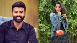 Actor Faizan Sheikh calls out Amna Ilyas in a cryptic video message