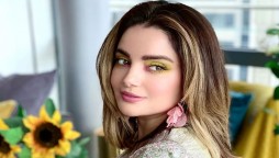 On our TV, a woman is shown crying, poor or as a villain, says Armeena khan
