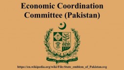 ECC approves launching of NRLP app to boost remittances