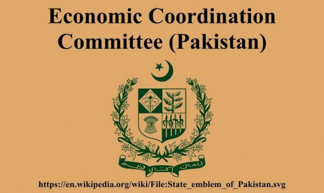 ECC approves launching of NRLP app to boost remittances