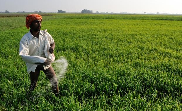 Fertiliser sector welcomes complete deregulation sans gas subsidies