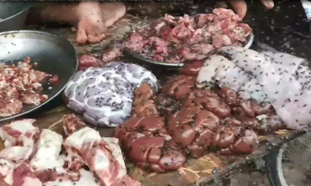 A plague of flies descends on Karachi