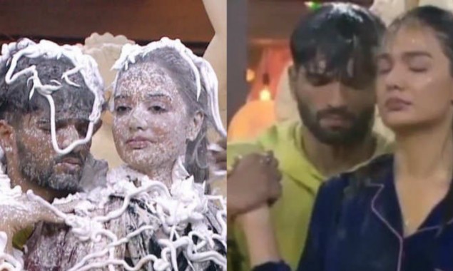 Bigg Boss 15: Divya Agarwal and Zeeshan Khan were supported by fans