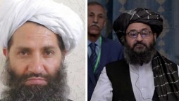 Taliban movement