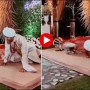 Bride and Groom unique competition video goes viral
