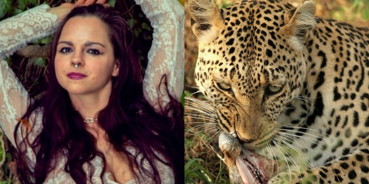 Model attacked by leopard