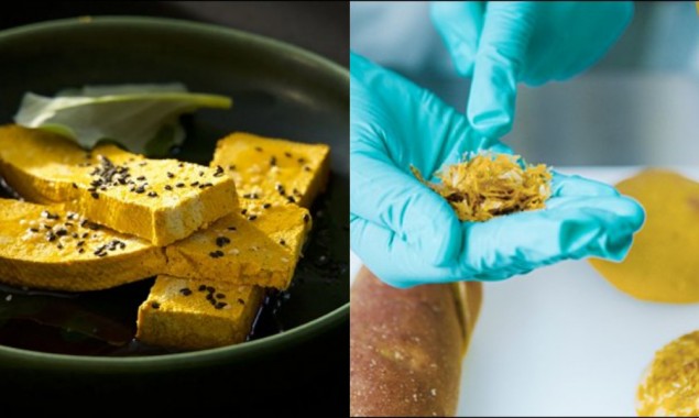 Scientists develop food from water, electricity and air called ‘Solein’