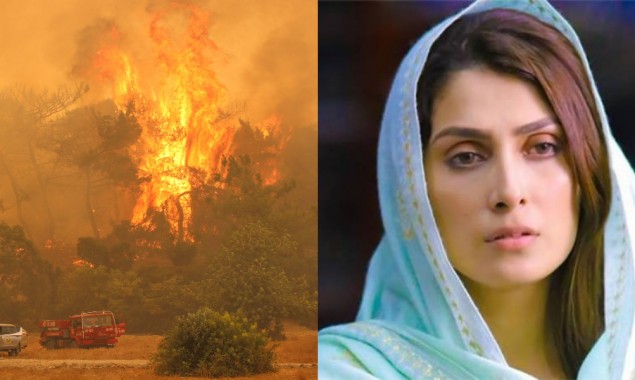 Ayeza Khan made a request to fans to pray for Turkey after wildfires