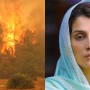 Ayeza Khan made a request to fans to pray for Turkey after wildfires