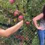 Preity Zinta gives a tour of her apple tree cultivations, Watch video