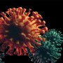 Prevalence of Delta variant increases significantly in Mongolia