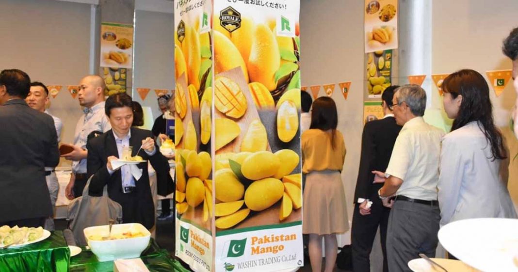 Mango