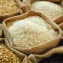 Guard starts trials for hybrid basmati seed