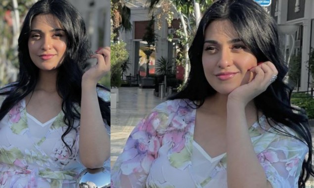 Sarah Khan mesmerizes Insta fam with her million-watt beauty