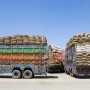 Pakistan approves ‘transportation’ of wheat from India to Afghanistan via Wagah