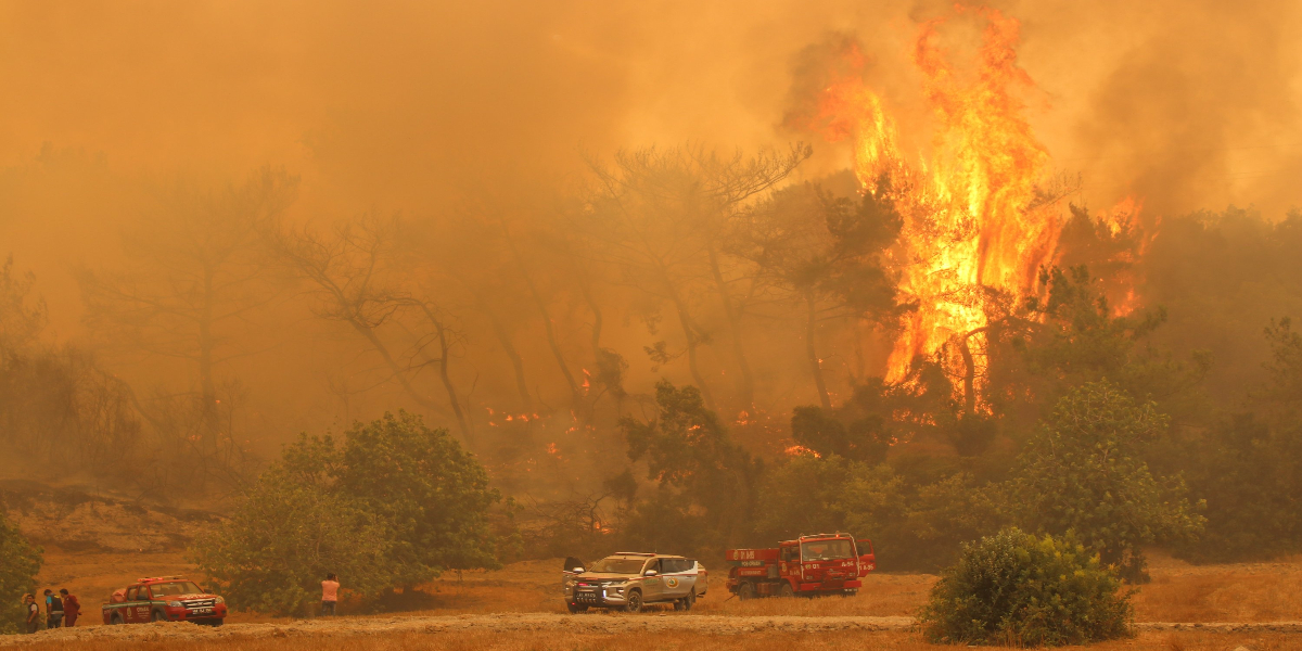 Turkey wildfire