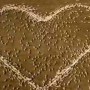 Australian farmer pays tribute to his late aunt by love heart made out of sheep