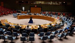 UNSC calls for immediate formation of representative government in Afghanistan