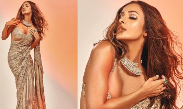 Malaika Arora increases mercury level with her multiple sultry snaps