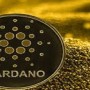 Cardano has finally been approved by Japanese regulators to be listed