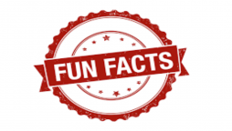 Fun And Intresting Facts That Blow Your Mind