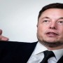 Apple vs Fortnite: Elon Musk Says Apple Fees are De Facto Global Tax
