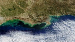 A large “dead zone” in the Gulf of Mexico, an area of low to no oxygen