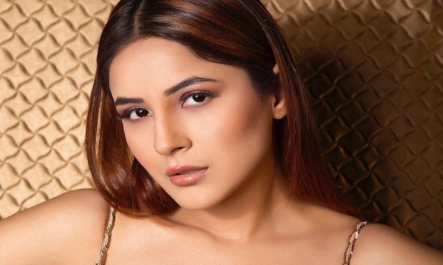 Shehnaaz Gill appears all hot and bold in recent pictures