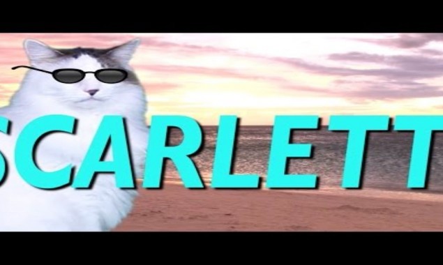 Did you know? A heroic mother Cat walked through the flames