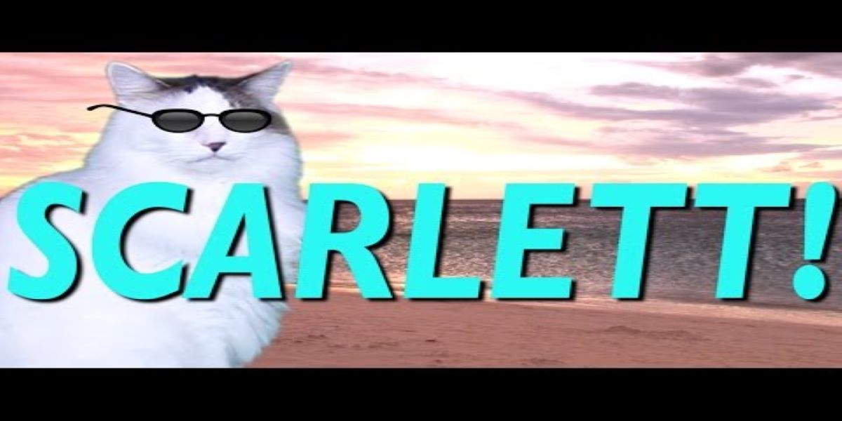 Did you know? A heroic mother Cat walks through the flames