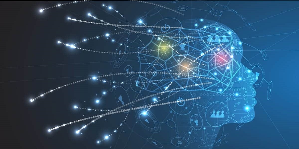 AI Networks Modelled on Human Brain Connectivity Can Execute Cognitive Tasks