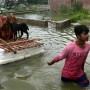 Floods in India’s Bihar: 7 dead, 4 million affected 