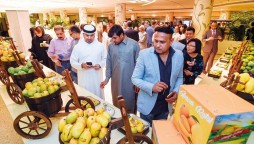 Pakistan Mango Festival held to explore new markets in China