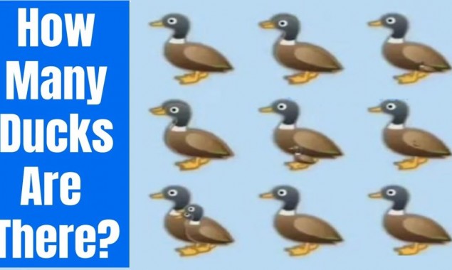 This Riddle Stumped So Many On Social Media Gone Viral