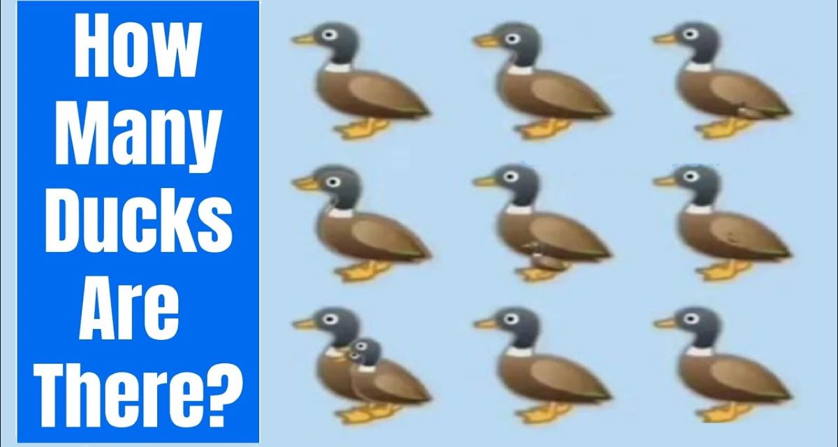 this riddle stumped so many on social media gone viral