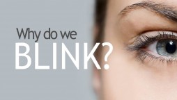 Do You Know Why are humans constantly blinking?