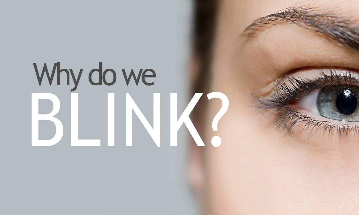 Do You Know Why are humans constantly blinking?