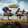 Here is how to download PUBG Mobile Lite 0.21.2 APK