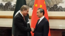 shah mehmood qureshi with chinese counterpart