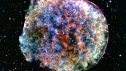 Australian scientists capture supernova in detail for first time