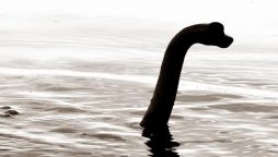 Reported: First loch ness monster located in China