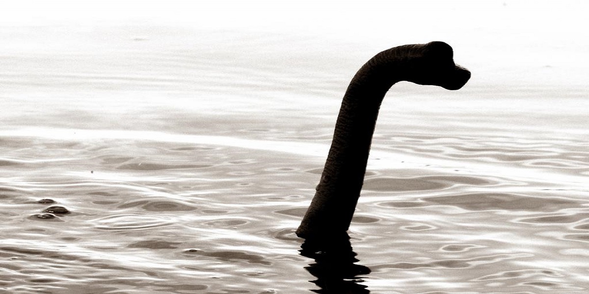 Reported: First loch ness monster located in China