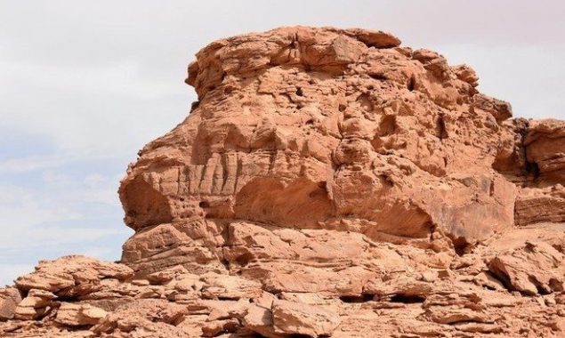 Monumental Camel sculptures in Arabia are prehistoric