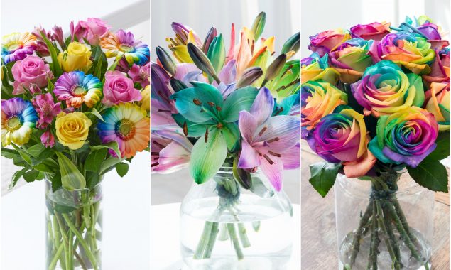 rainbow roses with vividly colored petals