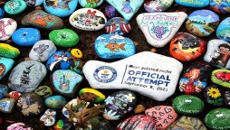 Texas: Park earns Guinness record with 24,459 painted pebbles